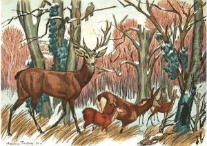 "la Harde De Cerfs En Foret". by Maurice Taquoy