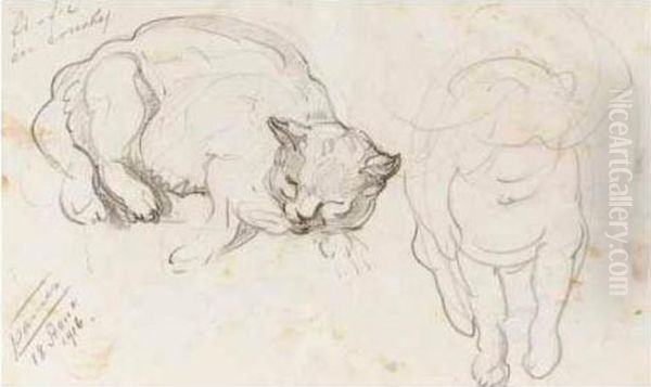 Two Studies Of Sleeping Cats: 'fi-fils En Couche' And 'go-mi Et Ses Petits' - view 1