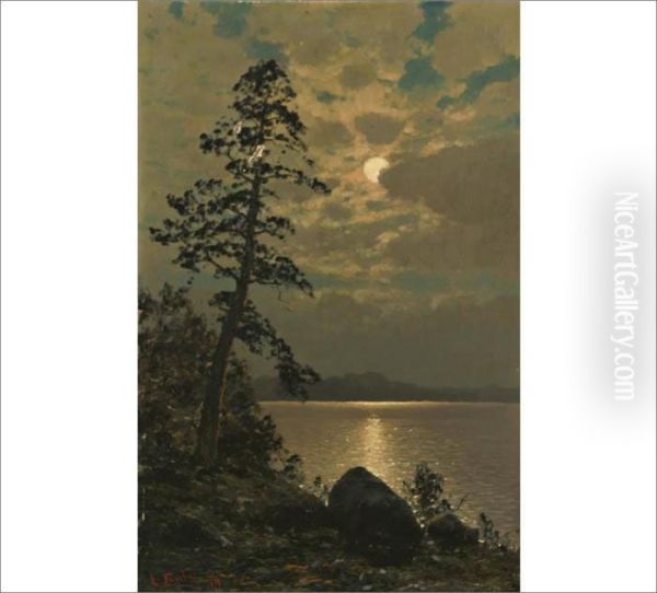 Untitled - view 1