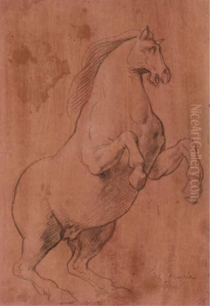 Un Cheval Cabre, Tourne Vers La Droite - view 1