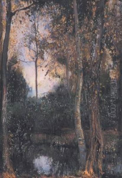 Paesaggio Con Alberi - view 1