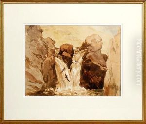 Salmon At The Waterfall by John Frederick Tayler