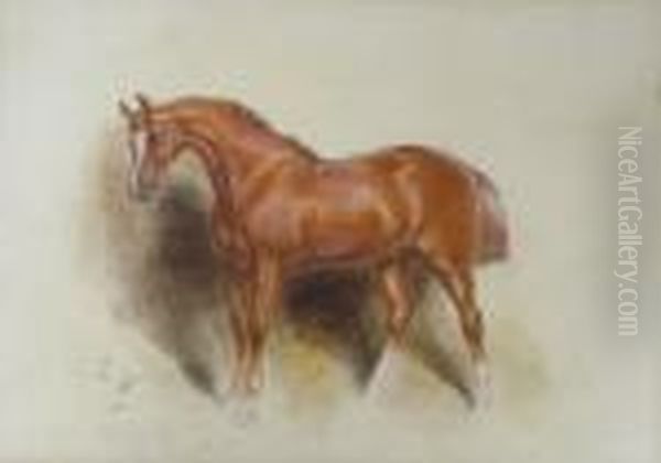 A Portrait Of A Chestnut Hunter - view 1
