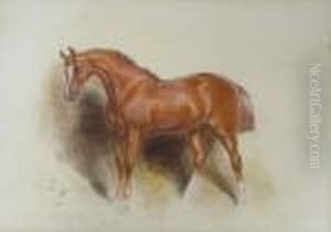 A Portrait Of A Chestnut Hunter by John Frederick Tayler