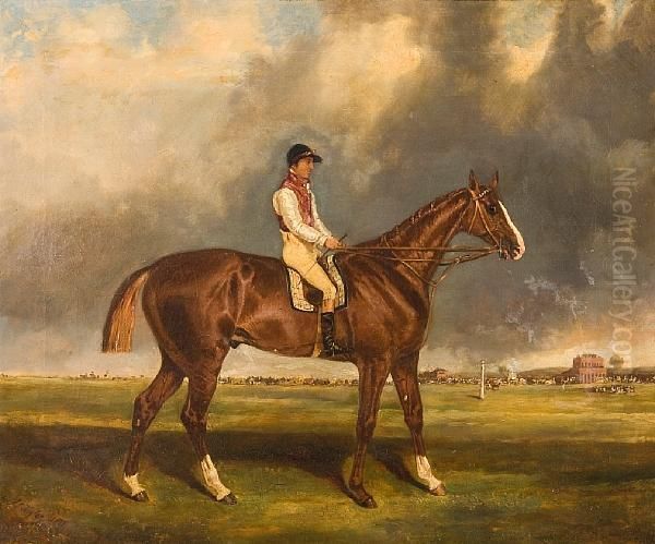 Racehorse With Jockey Up At Epsomracecourse - view 1
