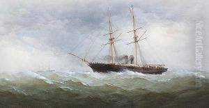 Streamers In Rough Seas