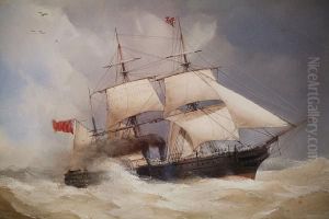 The 'arabia' At Sea
