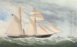 A Steam Yacht Of The Royal Thames Yacht Club In The Channel