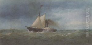 Paddle Streamer Off The Coast