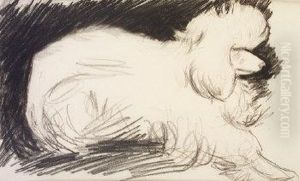 Poodle by Samuel Connolly Taylor