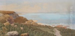Tebbit , Maitland Bay C.1900 by Henri Tebbitt