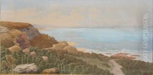 Tebbit , Maitland Bay C. 1900 Tebbit , Maitland Bay C. 1900
