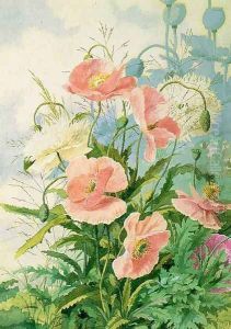 Poppies 1889 by Ellen Bowditch Thayer Fisher