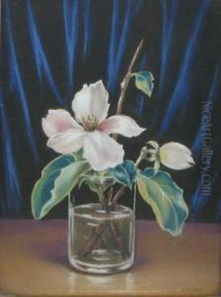 Magnolie - view 1