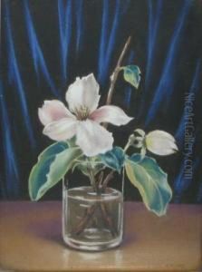 Magnolie by Misu Teisanu