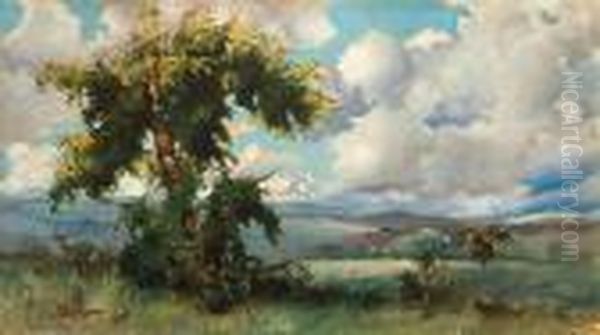 Clouds - view 1