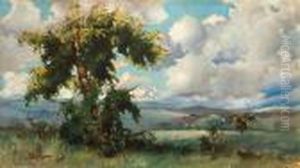 Clouds