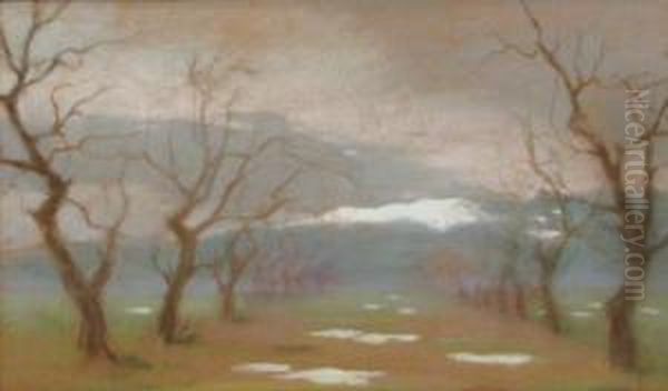 Naked Trees - view 1