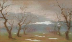 Naked Trees by Misu Teisanu