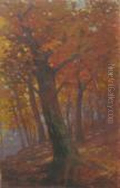 Forest In Autumn - view 1