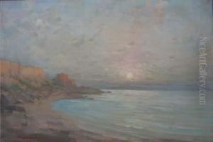 Apus Pe Mare by Nicolae Tempeanu