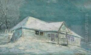 White House by Nicolae Tempeanu