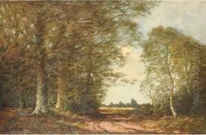 Deventerweg Bij Zutphen (najaar) Deventerweg Bij Zutphen (najaar)
