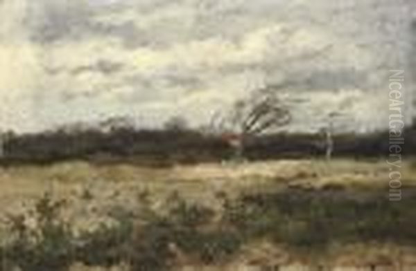 A Windy Day In Autumn - view 1