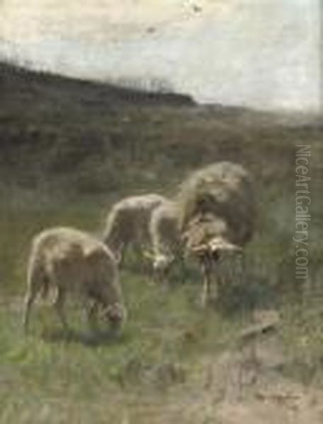 A Sheep And Her Little Lambs - view 1