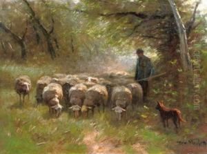 Grazing Sheep