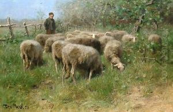 Tending To The Flock. - view 1