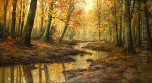 Petit Cours Deau Ombrage Petit Cours Deau Ombrage