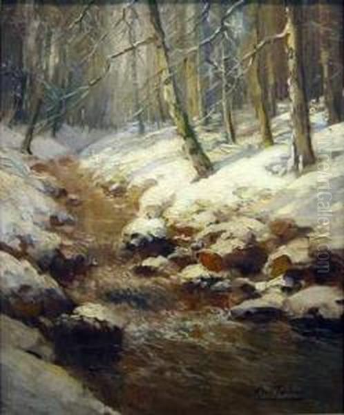 Paysage Hivernale - view 1