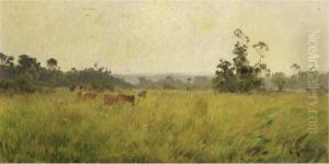 Herd Of Cows In A Meadow Herd Of Cows In A Meadow