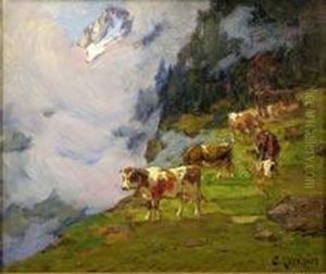 vache En Alpage Et Vagues De Brouillard