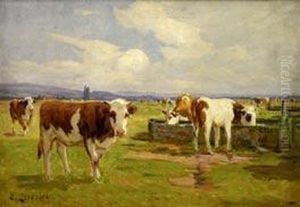 vaches A L'abreuvoir