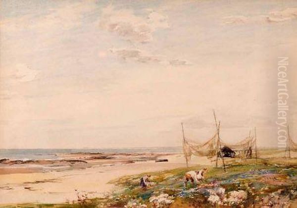 Samphire
Pickers - view 1
