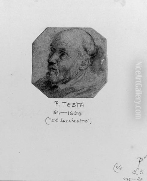 Head Of A Bearded Man Looking Up To The Left - view 1