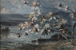 Thistles With Landscape Beyond