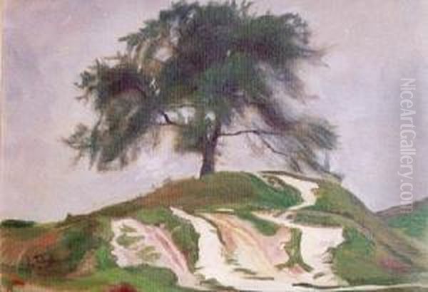 Samotne Drzewo (1905) - view 1