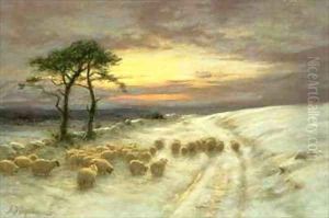 Sheep in the Snow