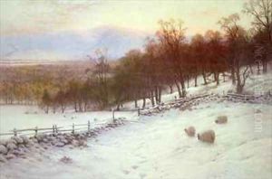 Snow Covered Fields with Sheep