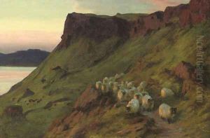 Sheep below the Greeben Cliff, Mull, Evening