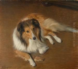 Collie by Robert Thegerstrom