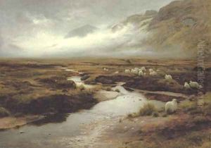 The Moss at Poolewe