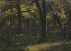 Gronskande Skog Gronskande Skog