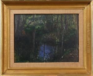 Skogstjarn, Signerad R. Thegerstrom -95, Dedikation Pa Baksidan by Robert Thegerstrom