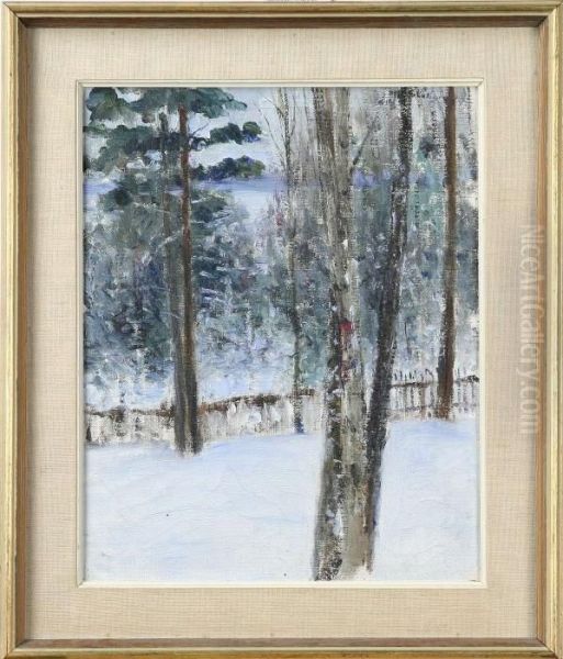 "sno", Tallbacken Djursholm - view 1