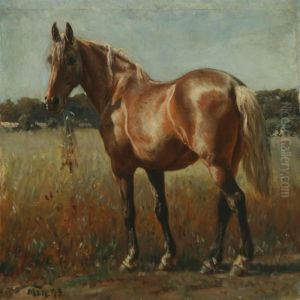 Grazing Horse Ina Field
