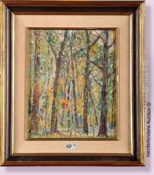 Sous-bois En Automne - view 1